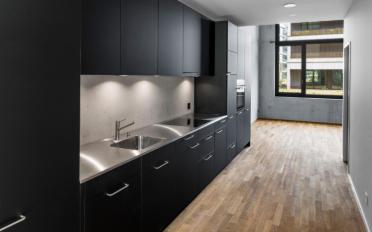 Apartment 1 room - image - 6