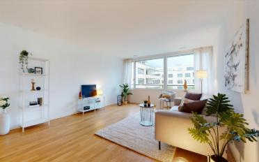Wohnung 2.5 Zimmer - image - 2