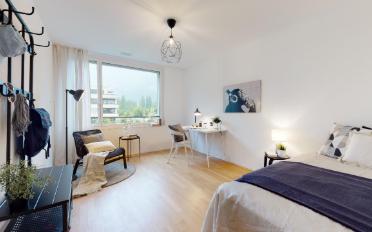 Wohnung 2.5 Zimmer - image - 5