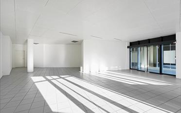 Shop - image - 7