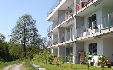 Wohnung 2.5 Zimmer - image - 1