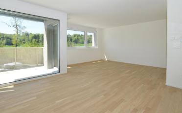 Apartment 2.5 rooms - image - 2