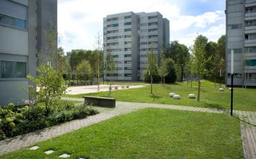 Wohnung 3 Zimmer - image - 1