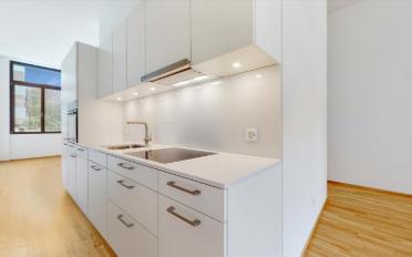 Wohnung 2.5 Zimmer - image - 3