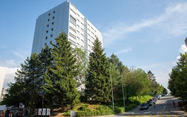 Wohnung 4.5 Zimmer - image - 6