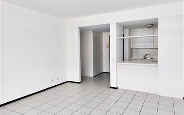Wohnung 2.5 Zimmer - image - 2