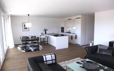 Appartement 4.5 pièces - image - 2