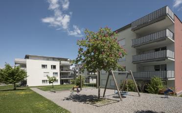 Wohnung 3.5 Zimmer - image - 2
