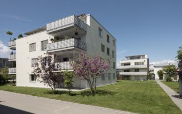 Wohnung 3.5 Zimmer - image - 1