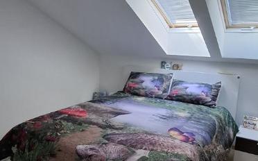 Appartement 3 pièces - image - 6