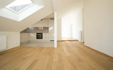 Dachwohnung 2 Zimmer - image - 3