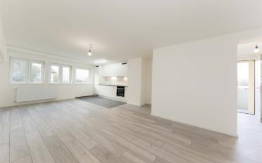 Wohnung 2.5 Zimmer - image - 1