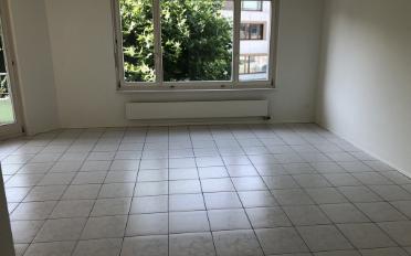 Appartement 4.5 pièces - image - 2