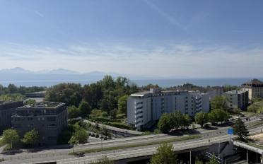 Apartment 1.5 rooms - image - 2
