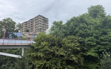 Apartment 1.5 rooms - image - 1
