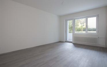 Wohnung 3.5 Zimmer - image - 5