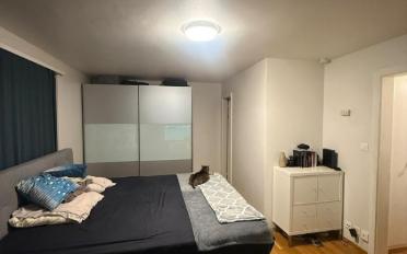Wohnung 1.5 Zimmer - image - 6