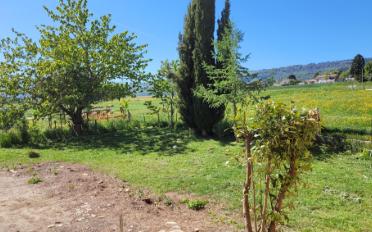 Villa 6.5 pièces - image - 7