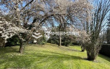 Villa 10 Zimmer - image - 12