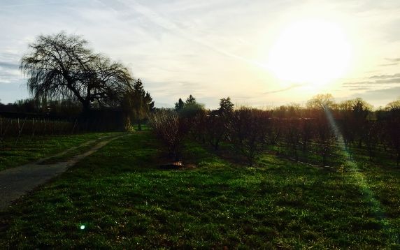 Envie d'une escapade champêtre ?