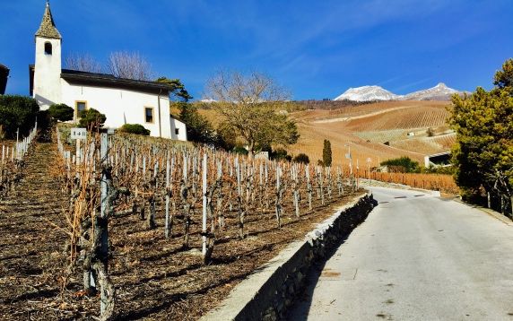 Partez à la découverte du terroir viticole valaisan
