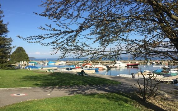 Pause lunch au bord de l'eau