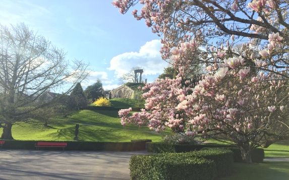 Se détendre au vert face au grand bleu